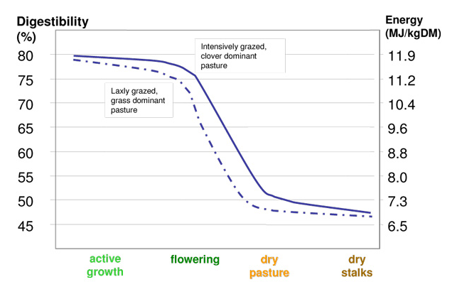 Digestibility Graph